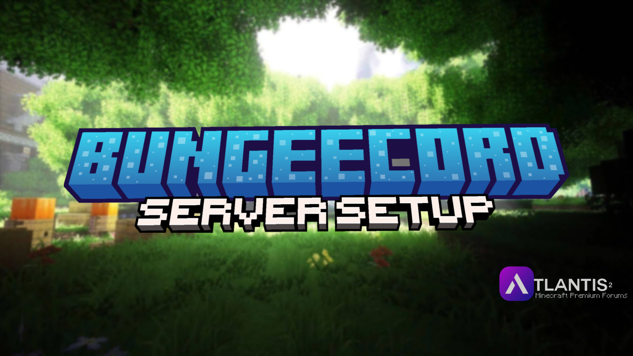 Bungeebanner
