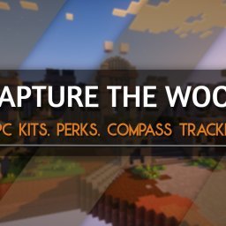 Hypixel Capture the Wool Setup - |EN/ES|